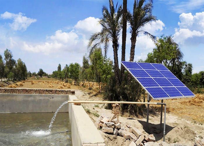 Infrarrojo Larva del moscardón Discriminatorio Bombeo solar para pozos profundos alta potencia | INDISECT
