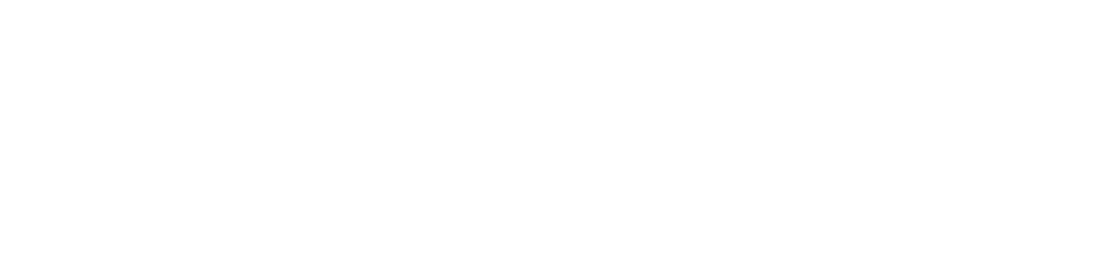 logoinferior