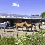 panel solar fotovoltaico 1