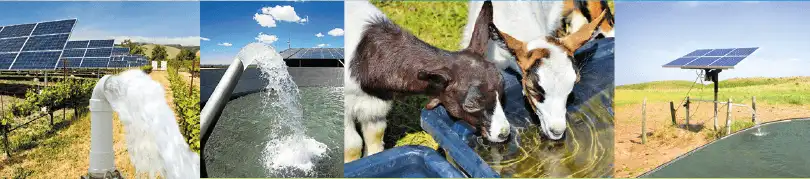 precio bomba de agua solar 12 bomba de agua solar para ganaderia